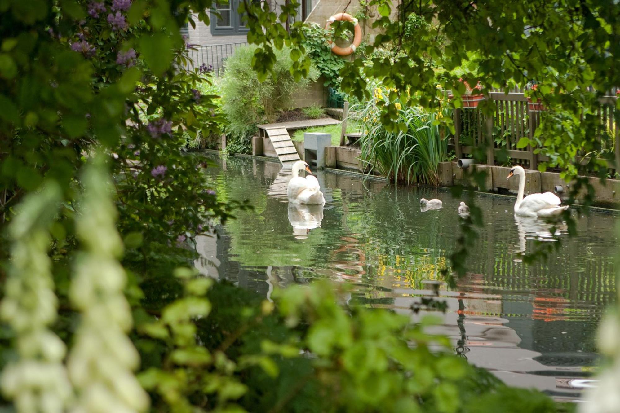 B&B Canal Deluxe Brugia Zewnętrze zdjęcie