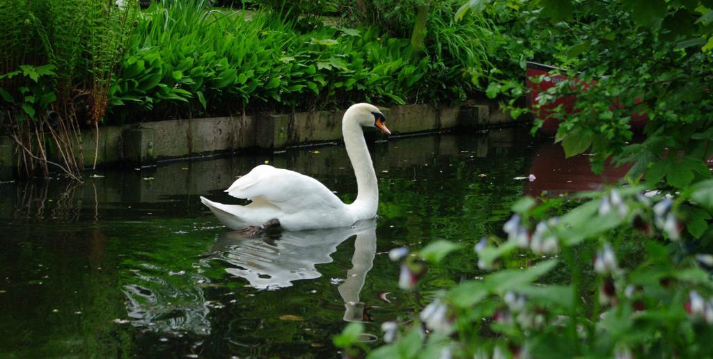 B&B Canal Deluxe Brugia Zewnętrze zdjęcie